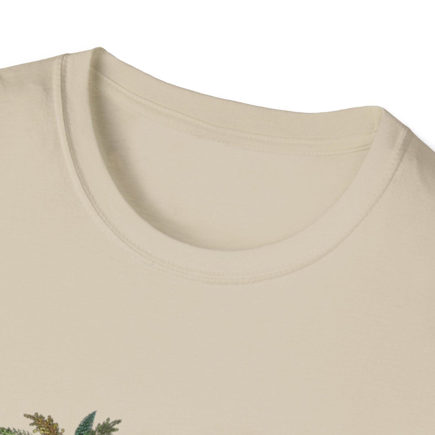 レディース ソフトスタイル T シャツ