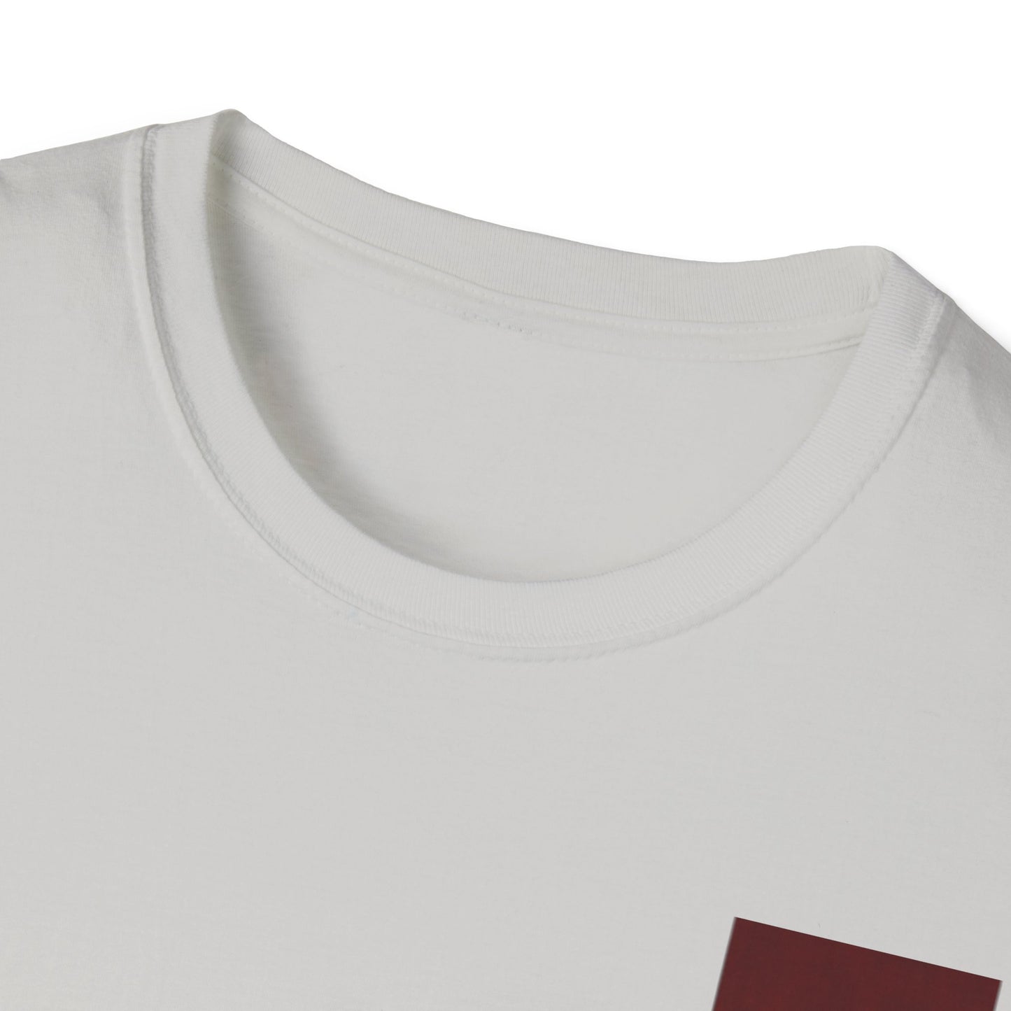 レディース ソフトスタイル T シャツ