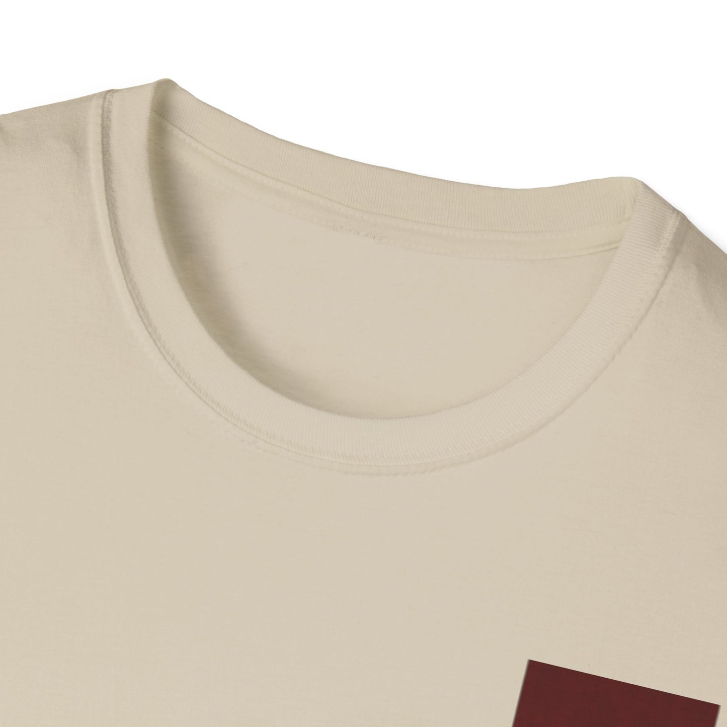 レディース ソフトスタイル T シャツ