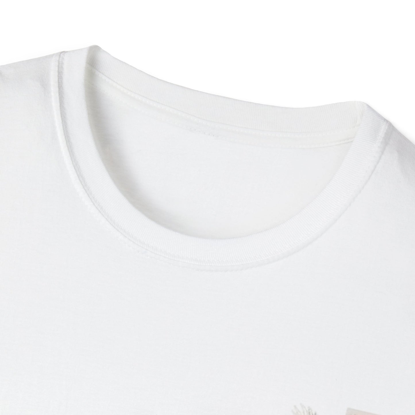 レディース ソフトスタイル T シャツ