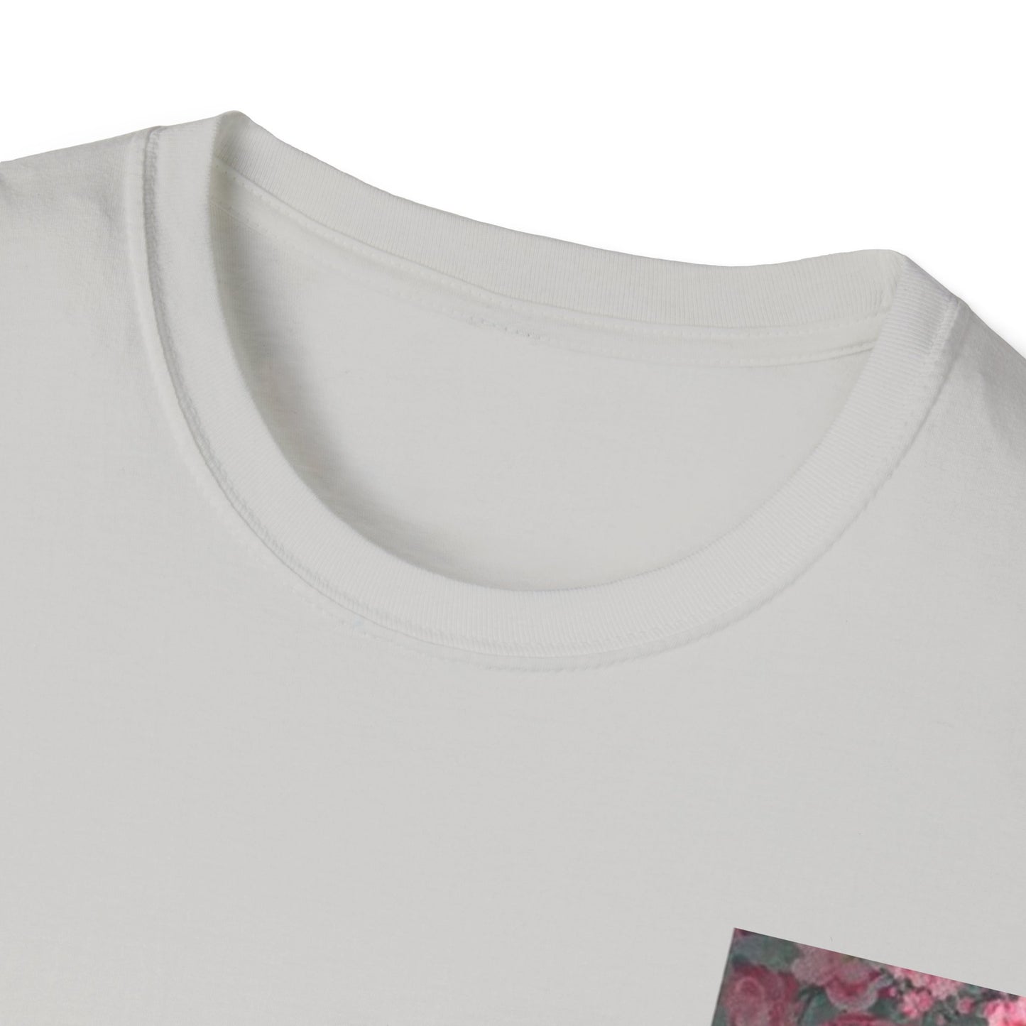 レディース ソフトスタイル T シャツ