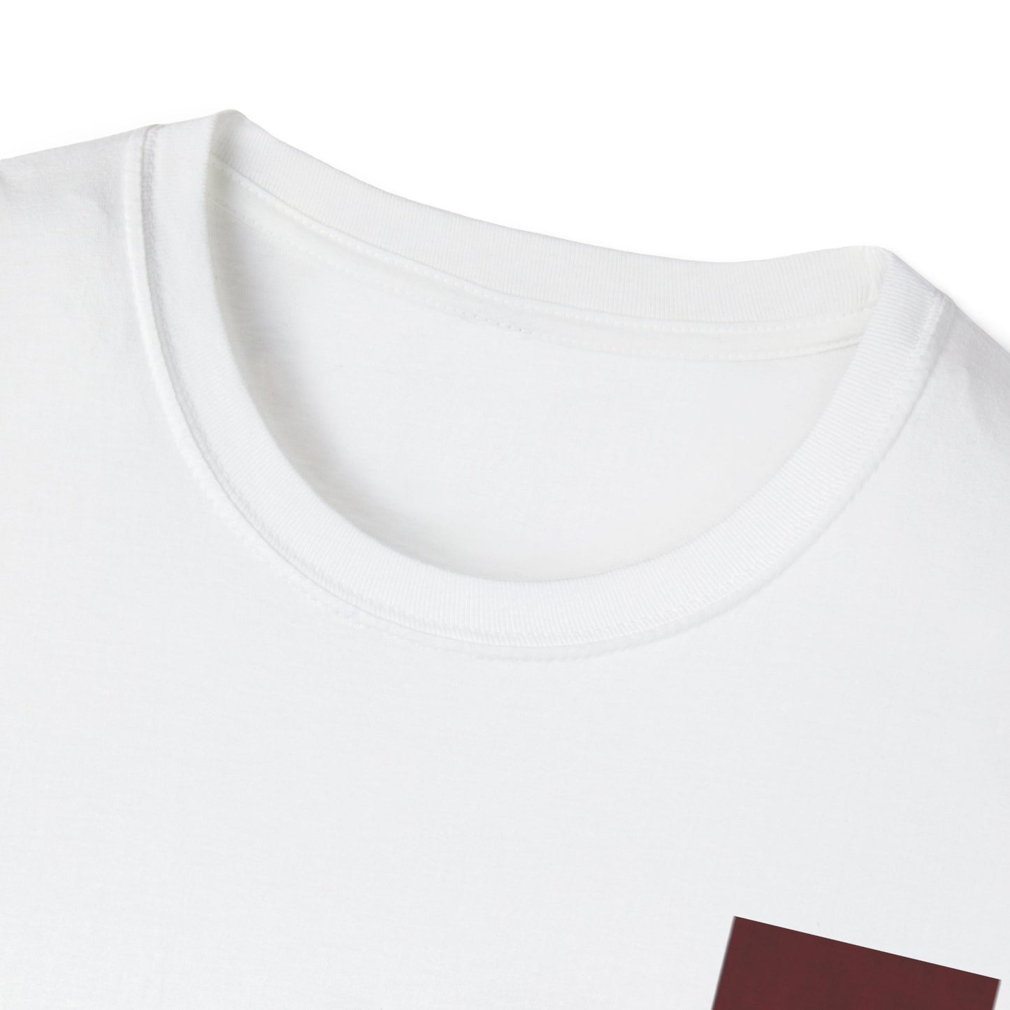 レディース ソフトスタイル T シャツ