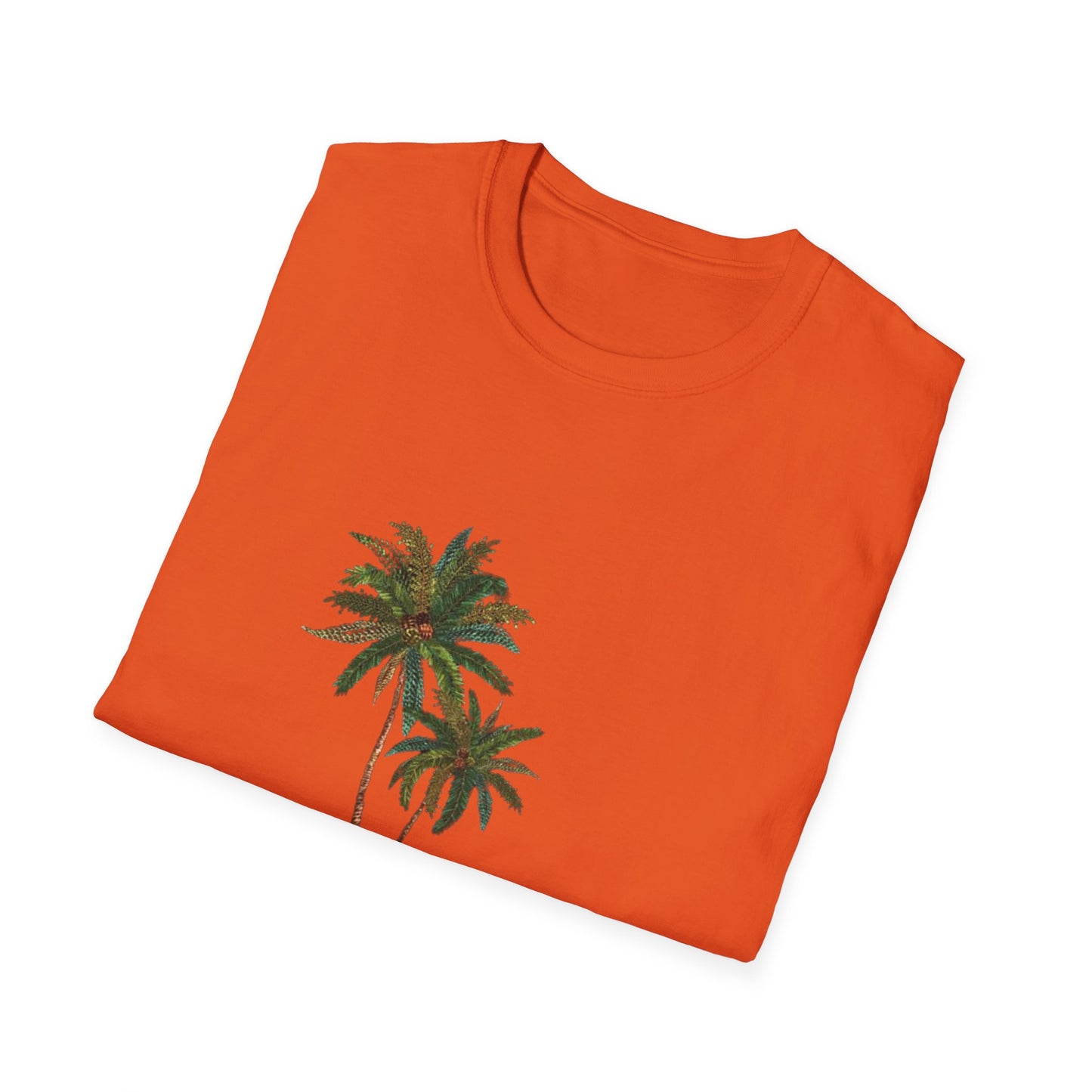 レディース ソフトスタイル T シャツ
