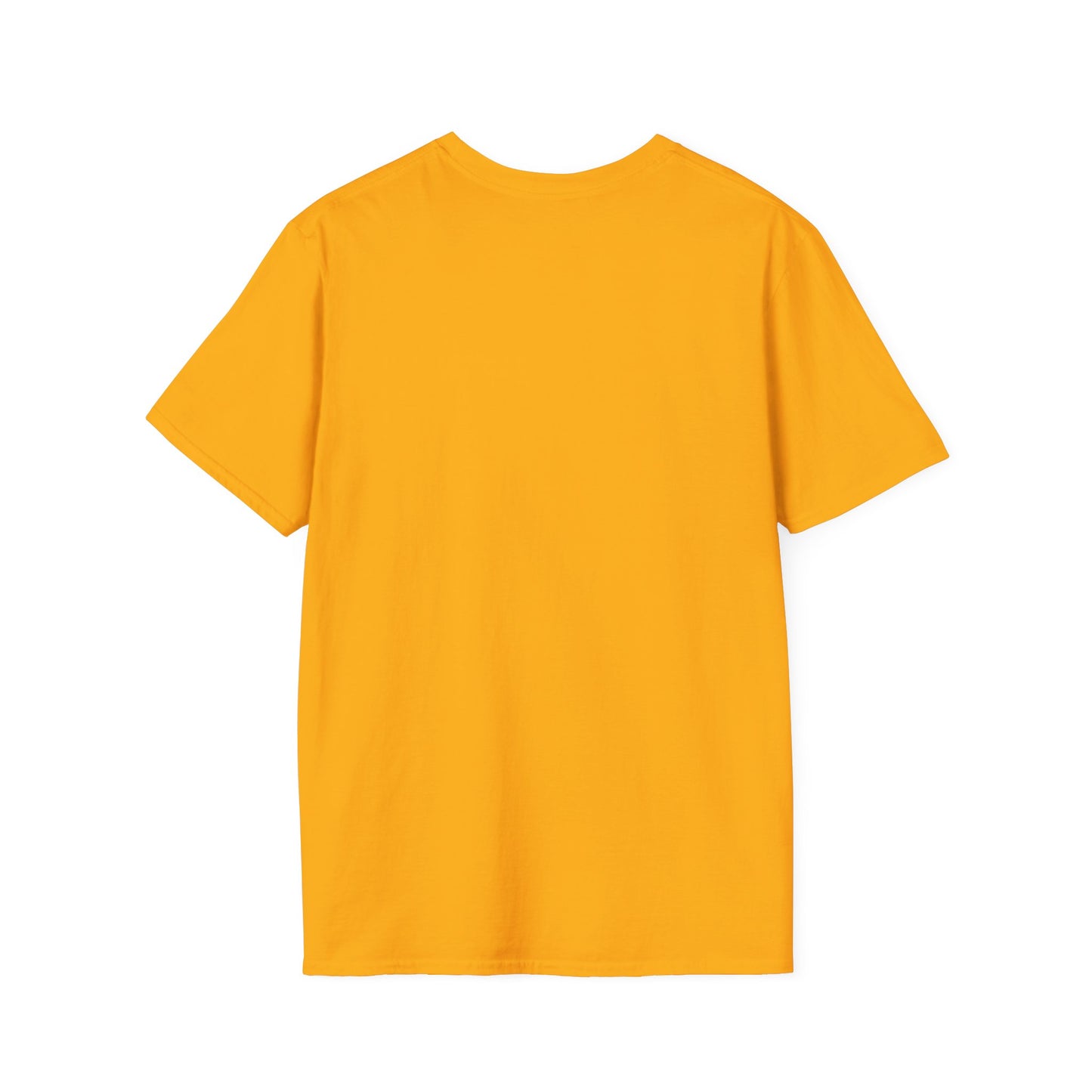 レディース ソフトスタイル T シャツ