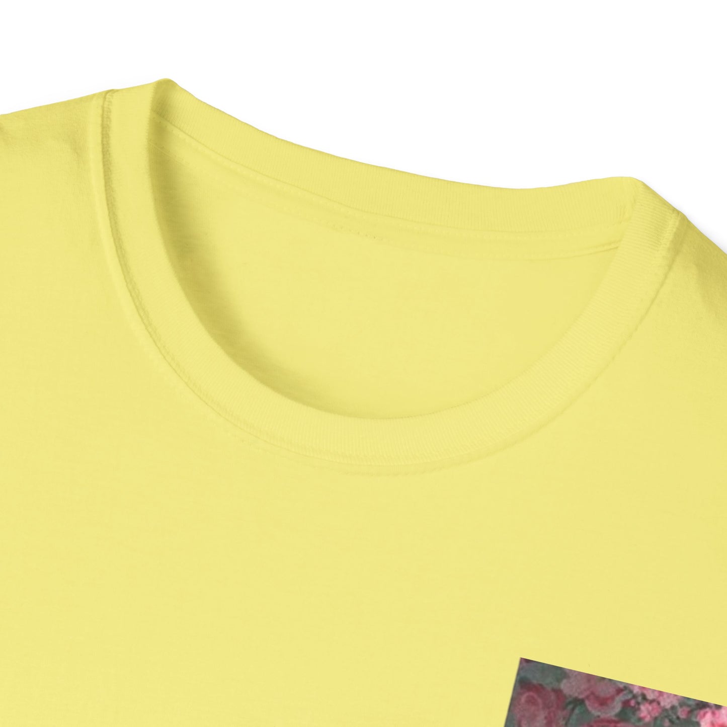 レディース ソフトスタイル T シャツ
